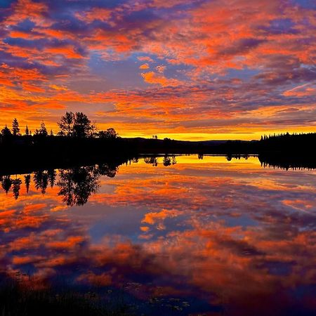 Burns Lake Bed And Breakfast Eksteriør bilde